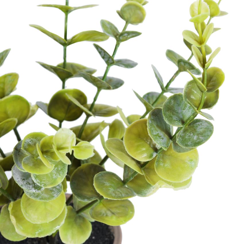 Artificial Potted Eucalyptus Plant Set | Set of 2