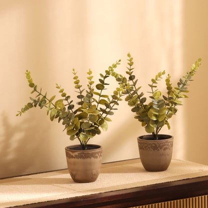 Artificial Potted Eucalyptus Plant Set | Set of 2