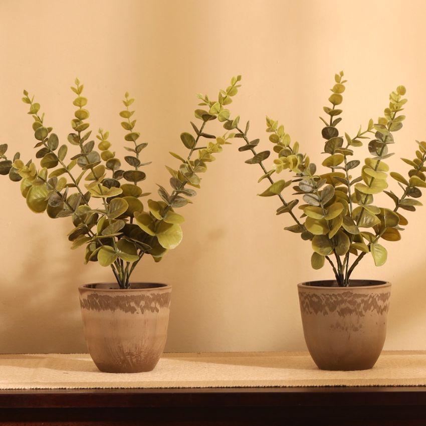 Artificial Potted Eucalyptus Plant Set | Set of 2