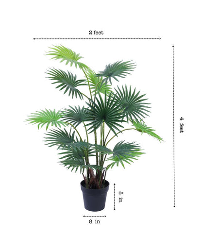 Minimalist Artificial Fan Palm with Black Pot | 4 Feet