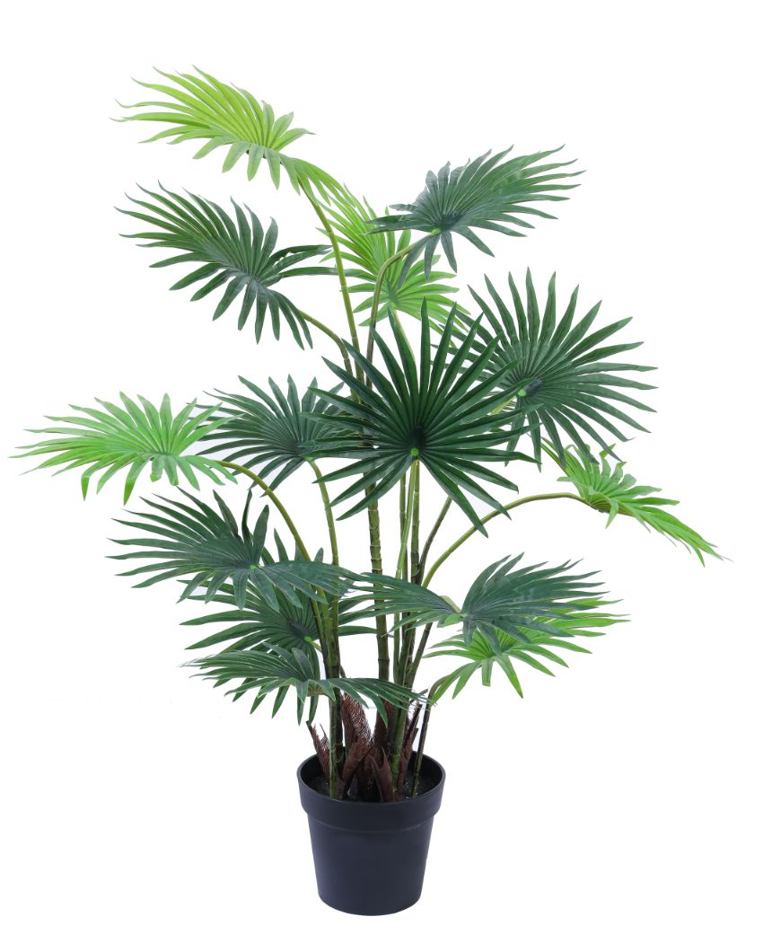 Minimalist Artificial Fan Palm with Black Pot | 4 Feet