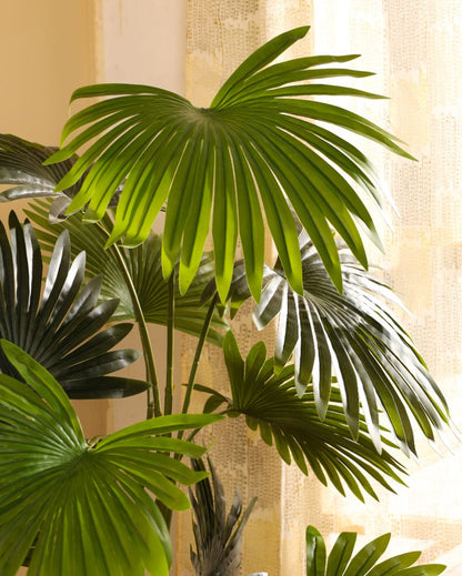 Beautiful Artificial Fan Palm with Black Pot | 5 Feet