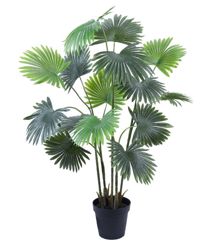 Beautiful Artificial Fan Palm with Black Pot | 5 Feet