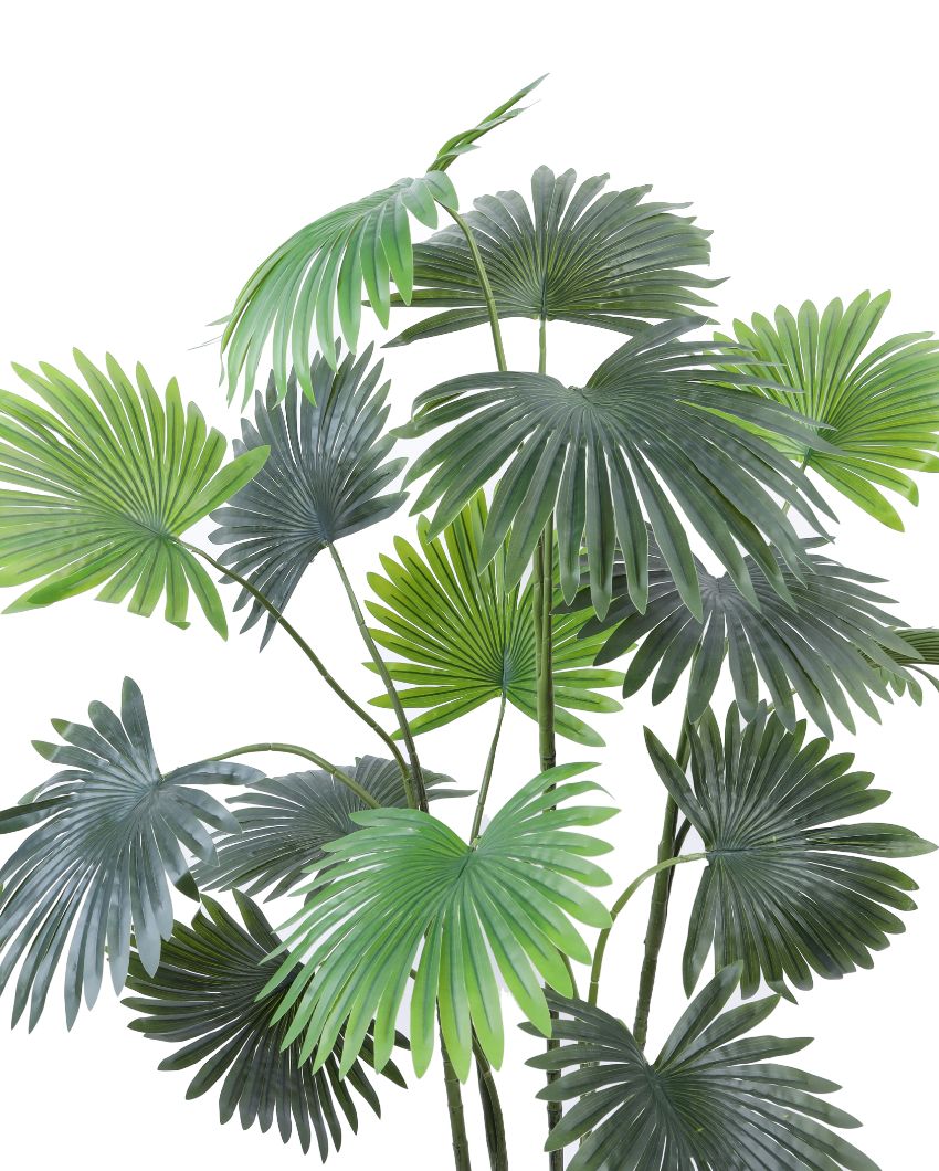 Beautiful Artificial Fan Palm with Black Pot | 5 Feet