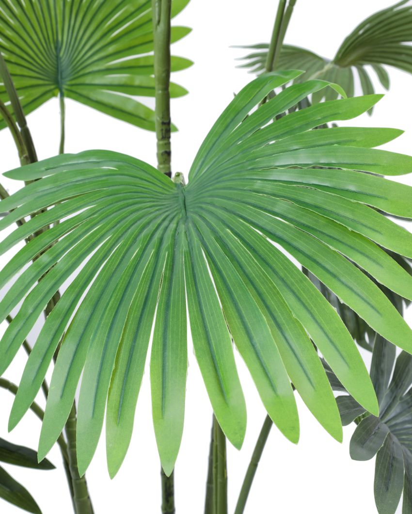 Beautiful Artificial Fan Palm with Black Pot | 5 Feet