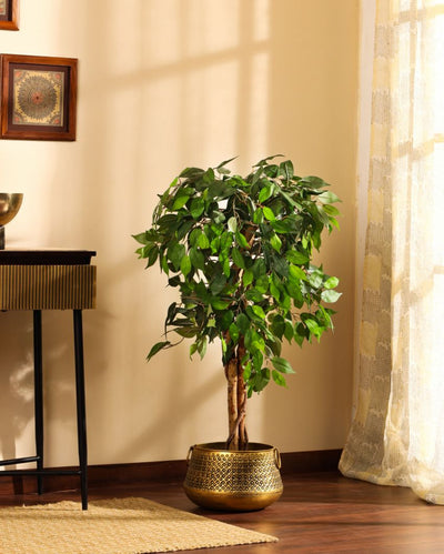 Refined Artificial Ficus Plant with Black Pot