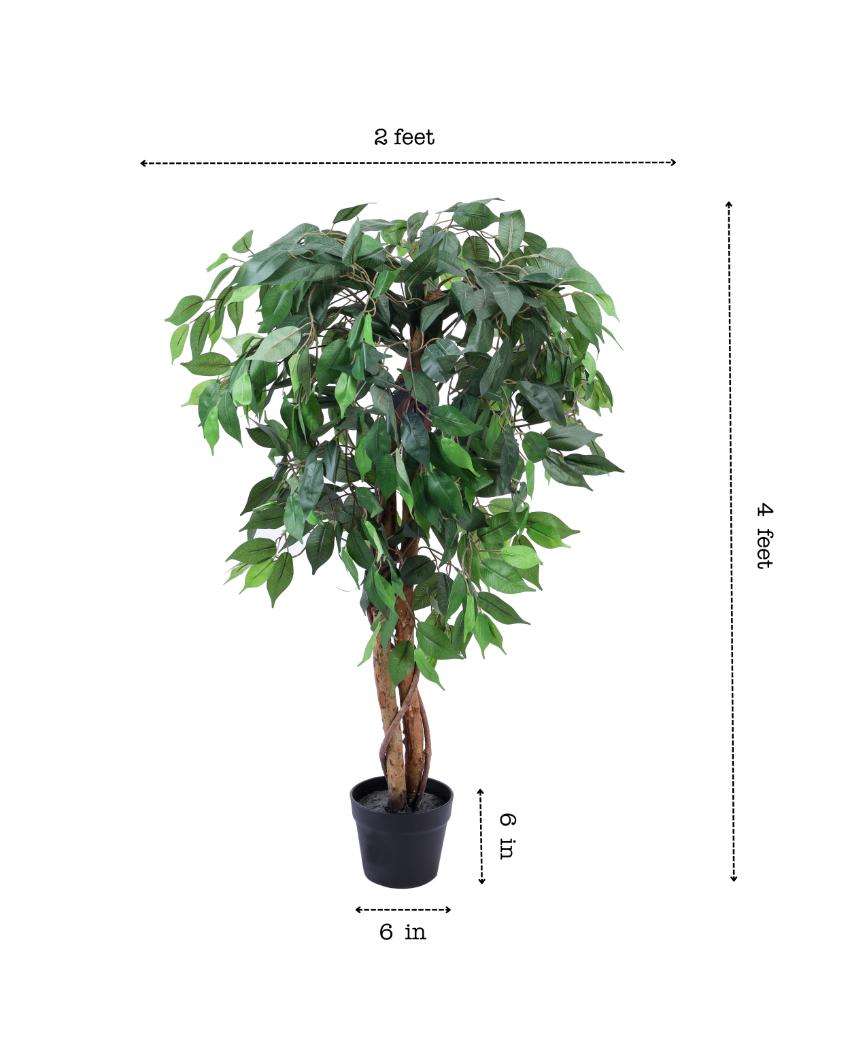 Refined Artificial Ficus Plant with Black Pot