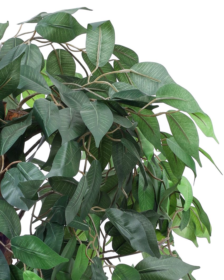 Refined Artificial Ficus Plant with Black Pot