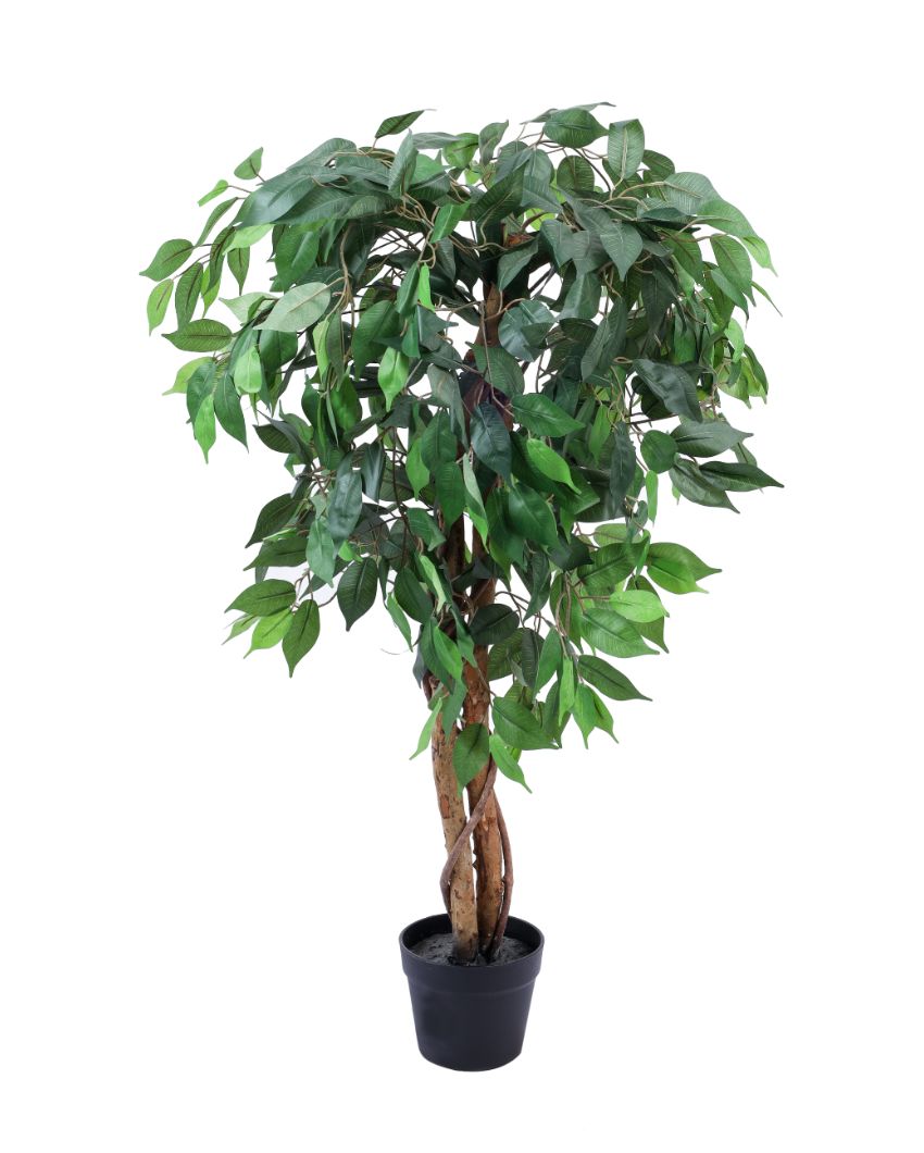 Refined Artificial Ficus Plant with Black Pot