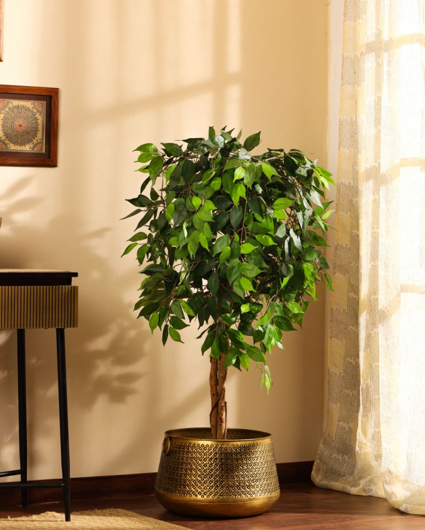 Refined Artificial Ficus Plant with Black Pot