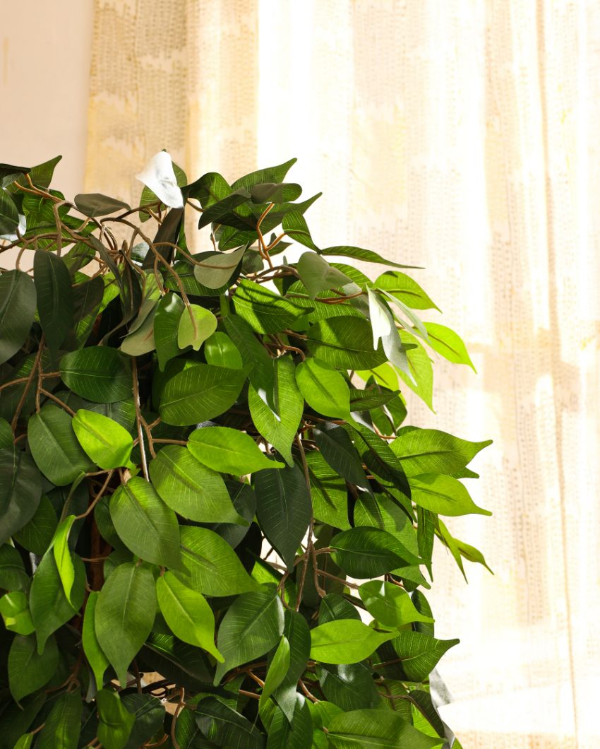 Refined Artificial Ficus Plant with Black Pot