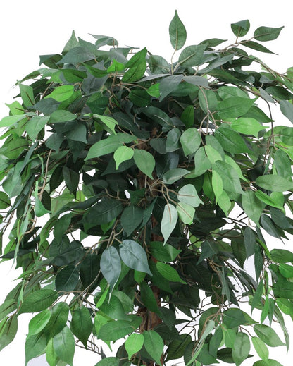 Refined Artificial Ficus Plant with Black Pot