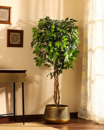 Refined Artificial Ficus Plant with Black Pot