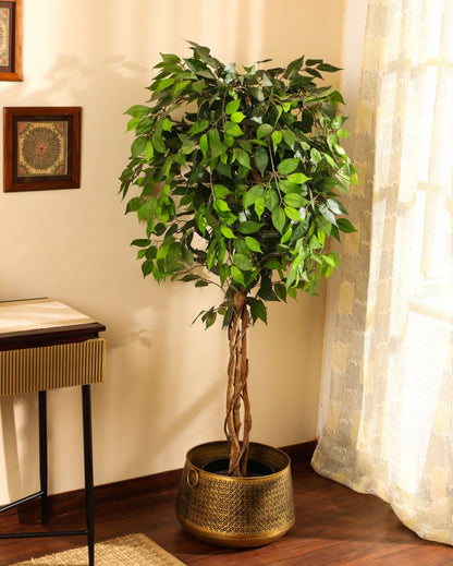 Refined Artificial Ficus Plant with Black Pot