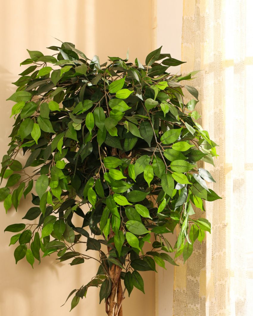 Refined Artificial Ficus Plant with Black Pot