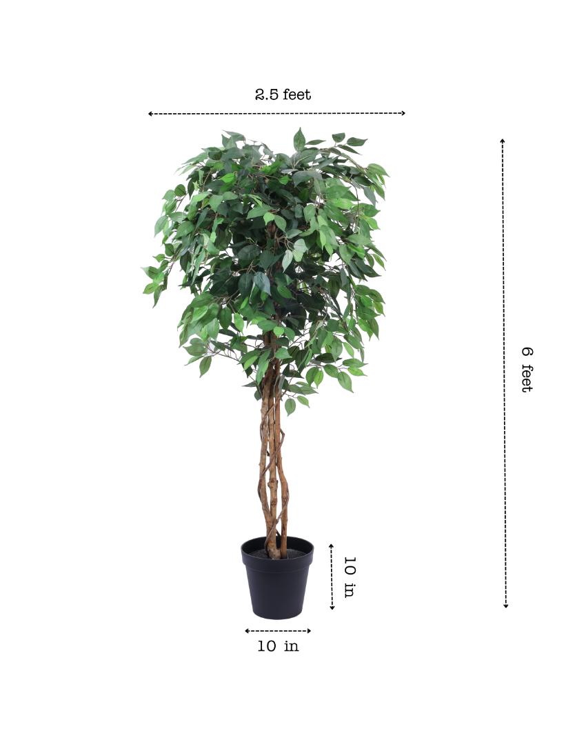 Refined Artificial Ficus Plant with Black Pot