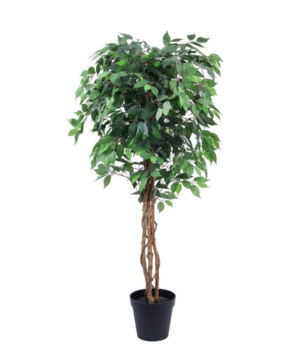 Refined Artificial Ficus Plant with Black Pot