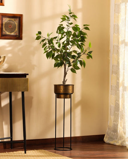 Serene Artificial Ficus Plant with Black Pot | 3 Feet