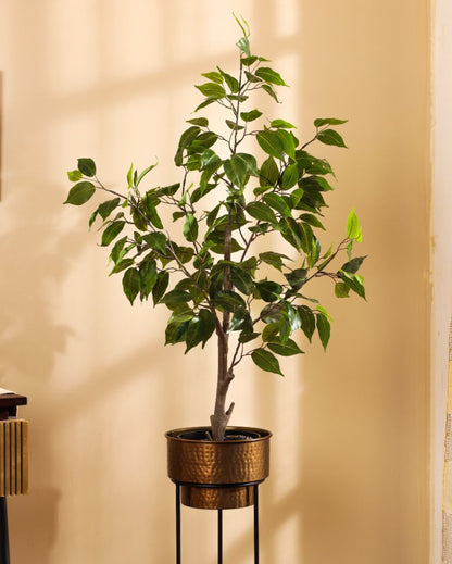 Serene Artificial Ficus Plant with Black Pot | 3 Feet