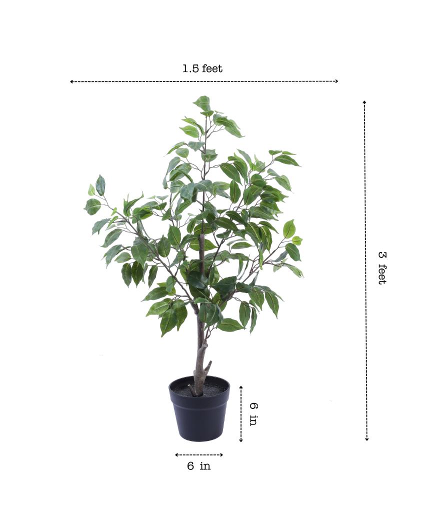 Serene Artificial Ficus Plant with Black Pot | 3 Feet