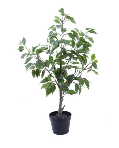 Serene Artificial Ficus Plant with Black Pot | 3 Feet