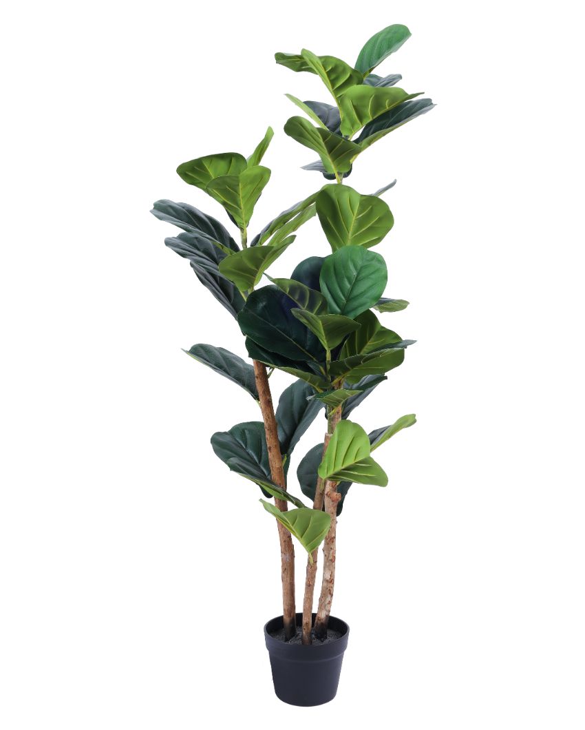 Effortless Artificial Fiddle Leaf Fig Plant with Black Pot | 4 Feet