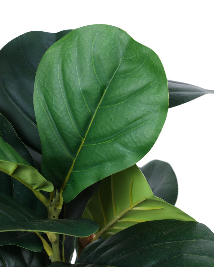 Effortless Artificial Fiddle Leaf Fig Plant with Black Pot | 4 Feet