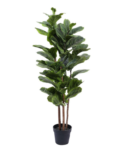 Chic Artificial Fiddle Leaf Fig Plant with Black Pot | 5 Feet