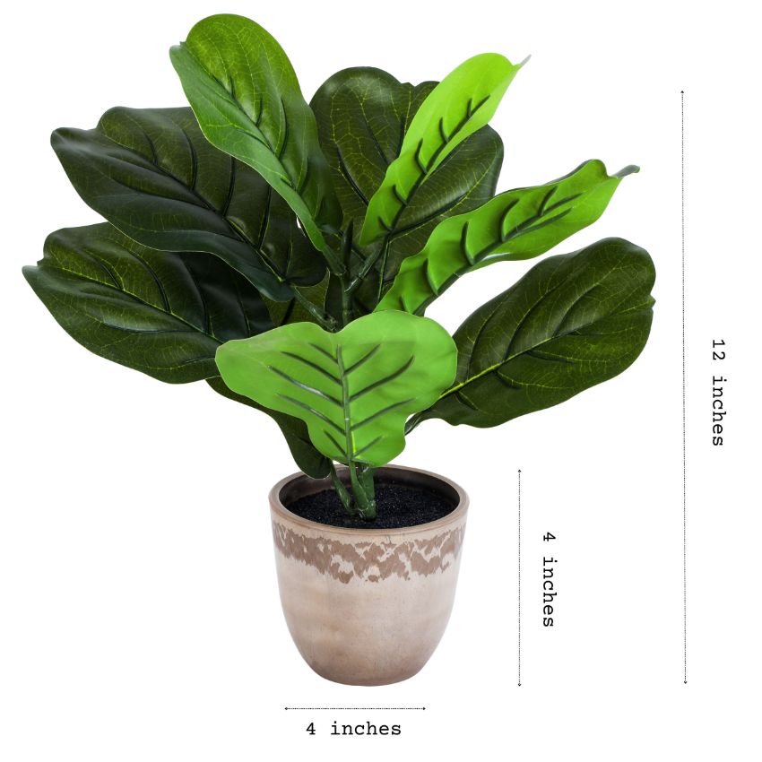 Artificial Potted Fiddle Leaf Fig Plants Set | Set of 2