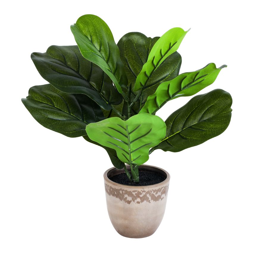 Artificial Potted Fiddle Leaf Fig Plants Set | Set of 2