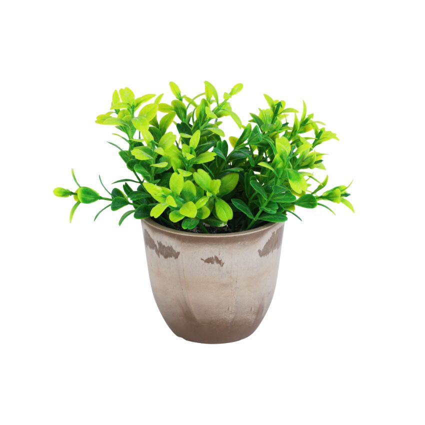 Artificial Green Potted Plants Set | Set of 2