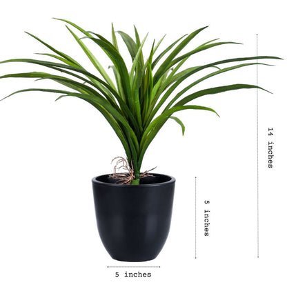 Premium Artificial Grass Plant in Stylish Pot | 4 x 4 x 16 inches