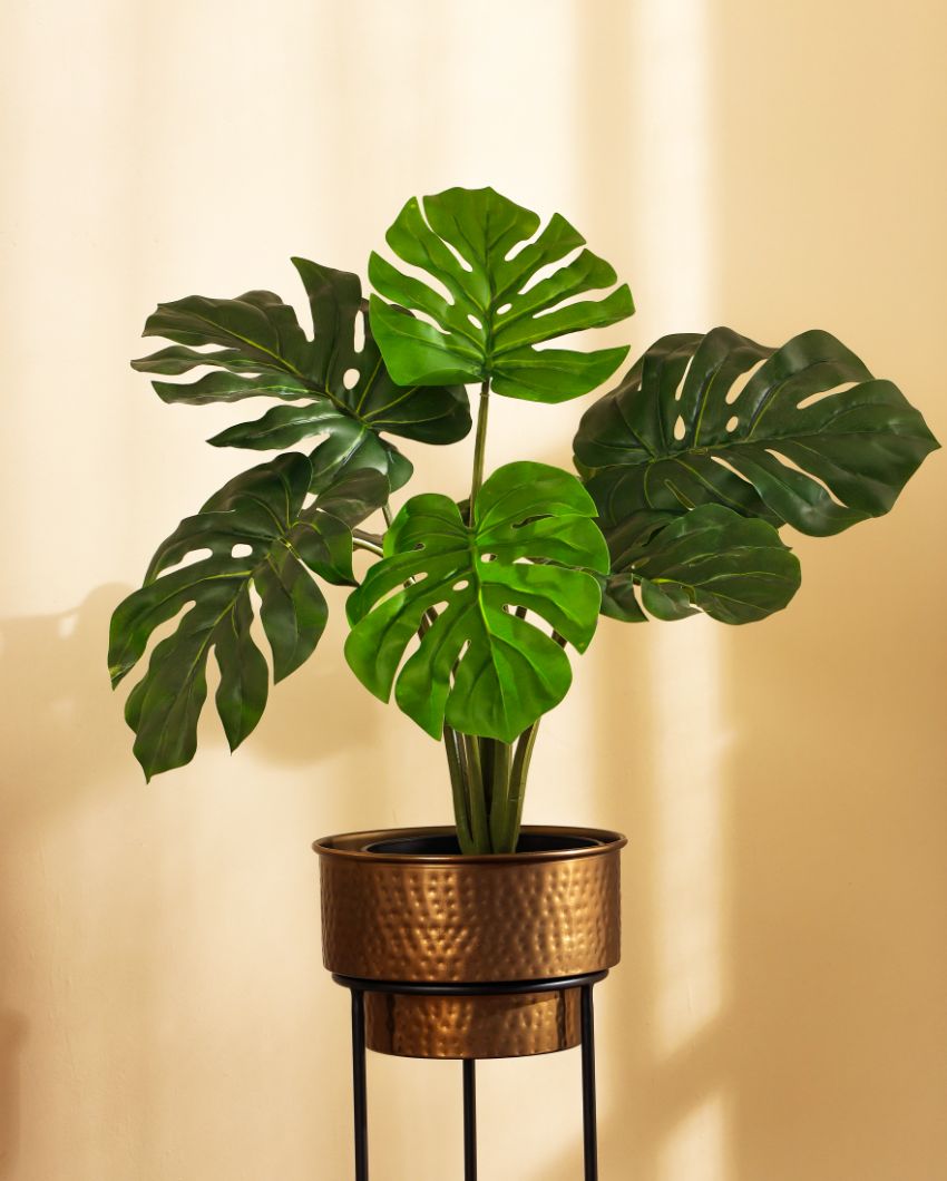 Refined Artificial Monstera Plant with Black Pot | 22 inches