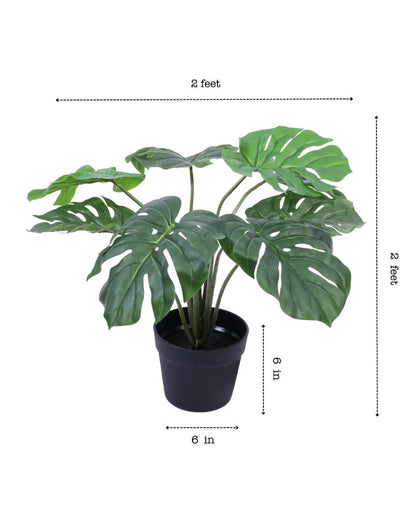 Refined Artificial Monstera Plant with Black Pot | 22 inches