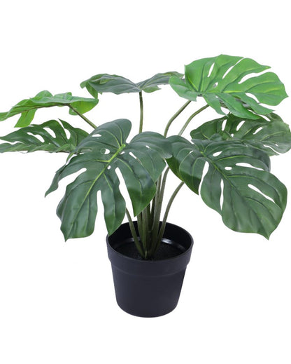 Refined Artificial Monstera Plant with Black Pot | 22 inches