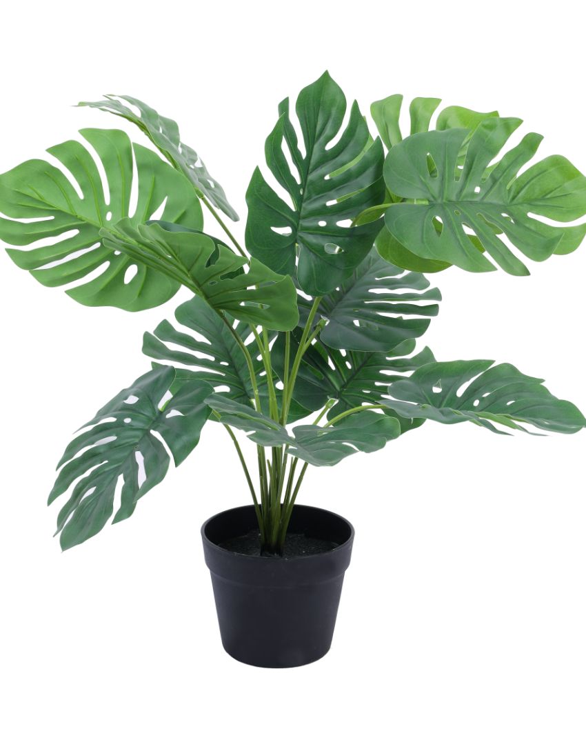 Unique Artificial Monstera Potted Plant | 24 inches