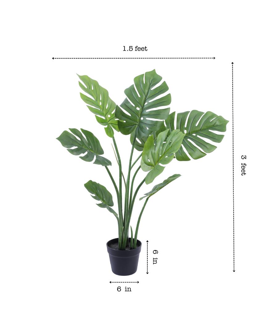 Modern Artificial Monstera Plant with Black Pot | 3 Feet