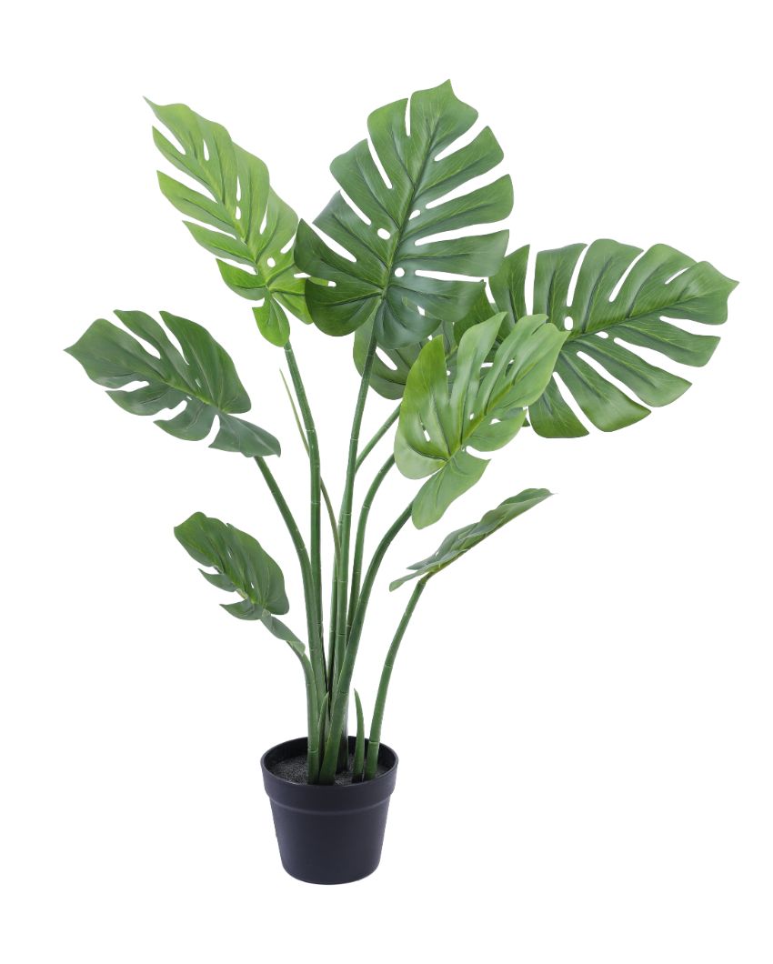 Modern Artificial Monstera Plant with Black Pot | 3 Feet