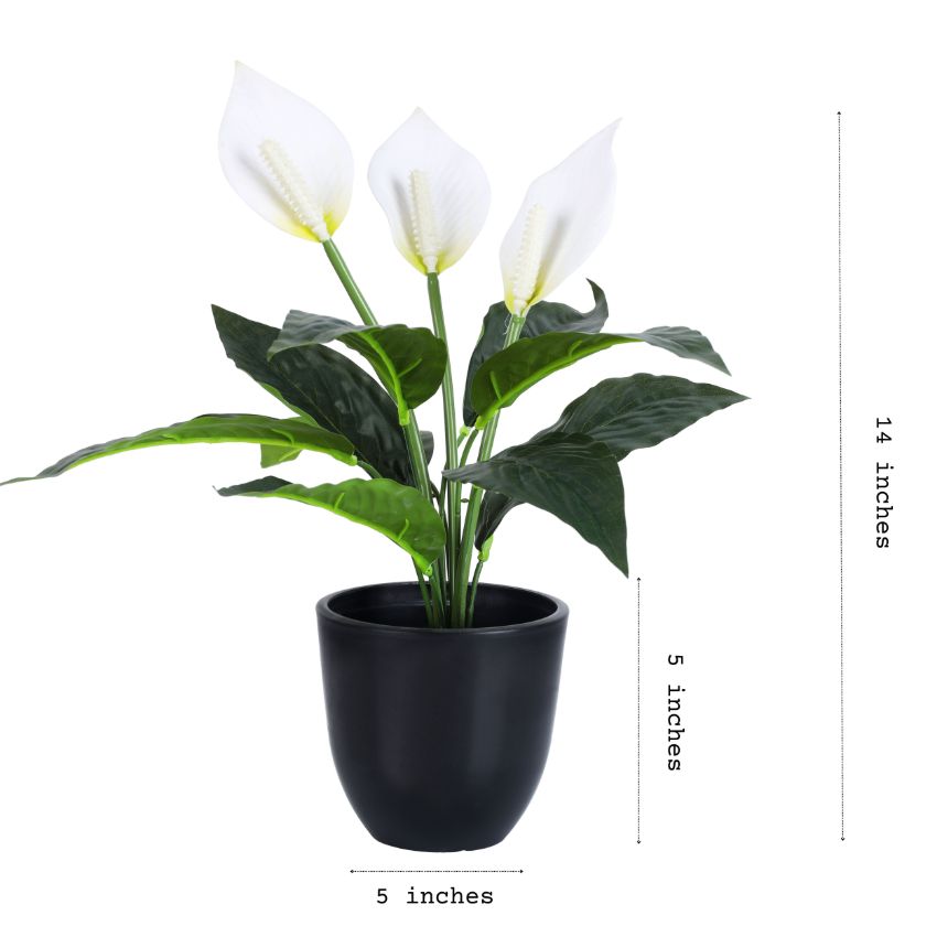 Artificial Potted Peace Lily Plant Collection | Set of 2