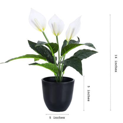 Artificial Potted Peace Lily Plant Collection | Set of 2