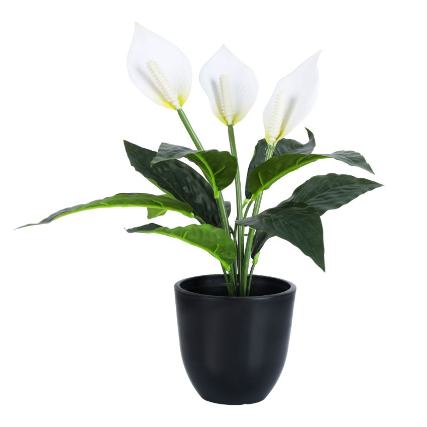 Artificial Potted Peace Lily Plant Collection | Set of 2