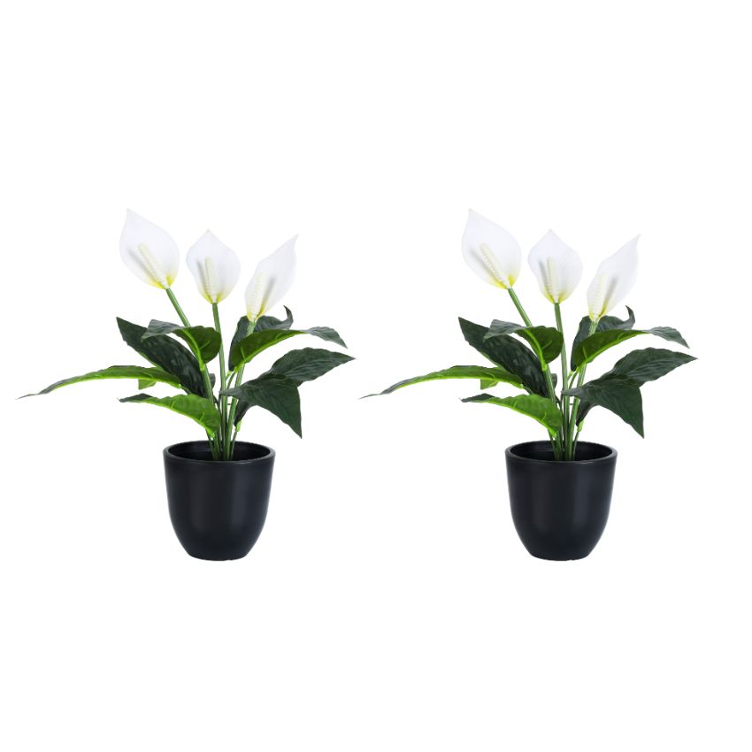 Artificial Potted Peace Lily Plant Collection | Set of 2