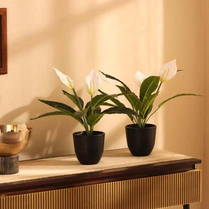 Artificial Potted Peace Lily Plant Collection | Set of 2