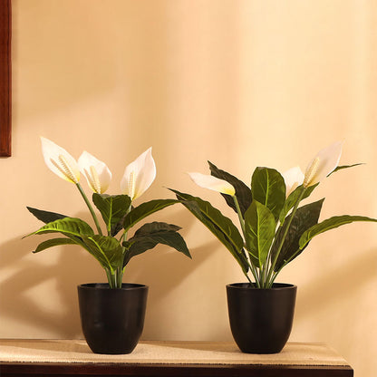 Artificial Potted Peace Lily Plant Collection | Set of 2