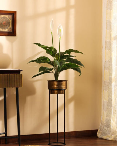 Vibrant Artificial Peace Lily Plant with Black Pot | 3 Feet