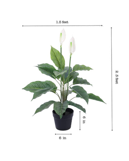 Vibrant Artificial Peace Lily Plant with Black Pot | 3 Feet