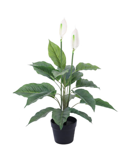 Vibrant Artificial Peace Lily Plant with Black Pot | 3 Feet