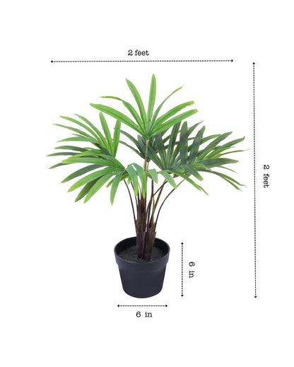 Eye-catching Artificial Rhapis Palm Plant | 2 Feet