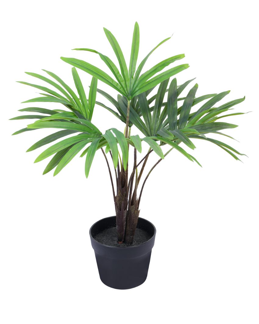 Eye-catching Artificial Rhapis Palm Plant | 2 Feet