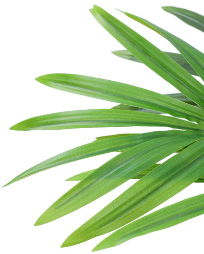 Eye-catching Artificial Rhapis Palm Plant | 2 Feet